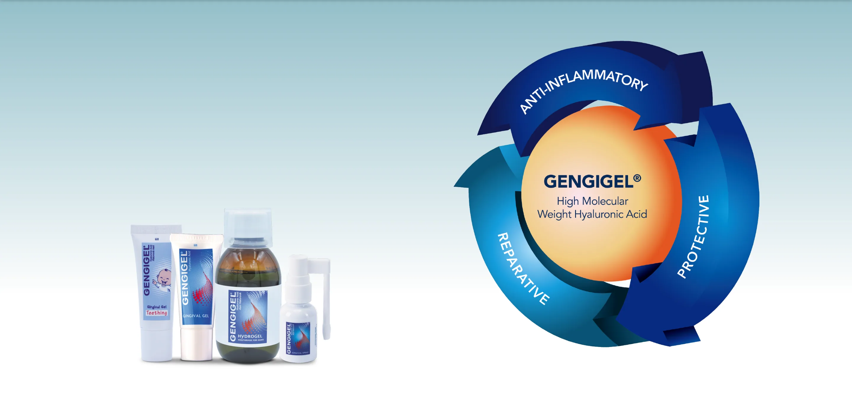 The GENGIGEL® range beside a diagram of GENGIGEL® high molecular weight hyaluronic acid working three ways: anti-inflammatory, reparative and protective